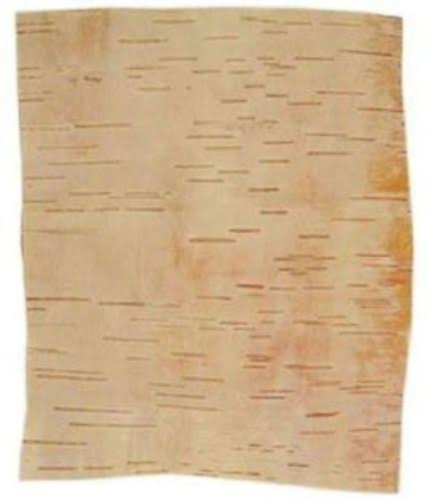 Bhojpatra